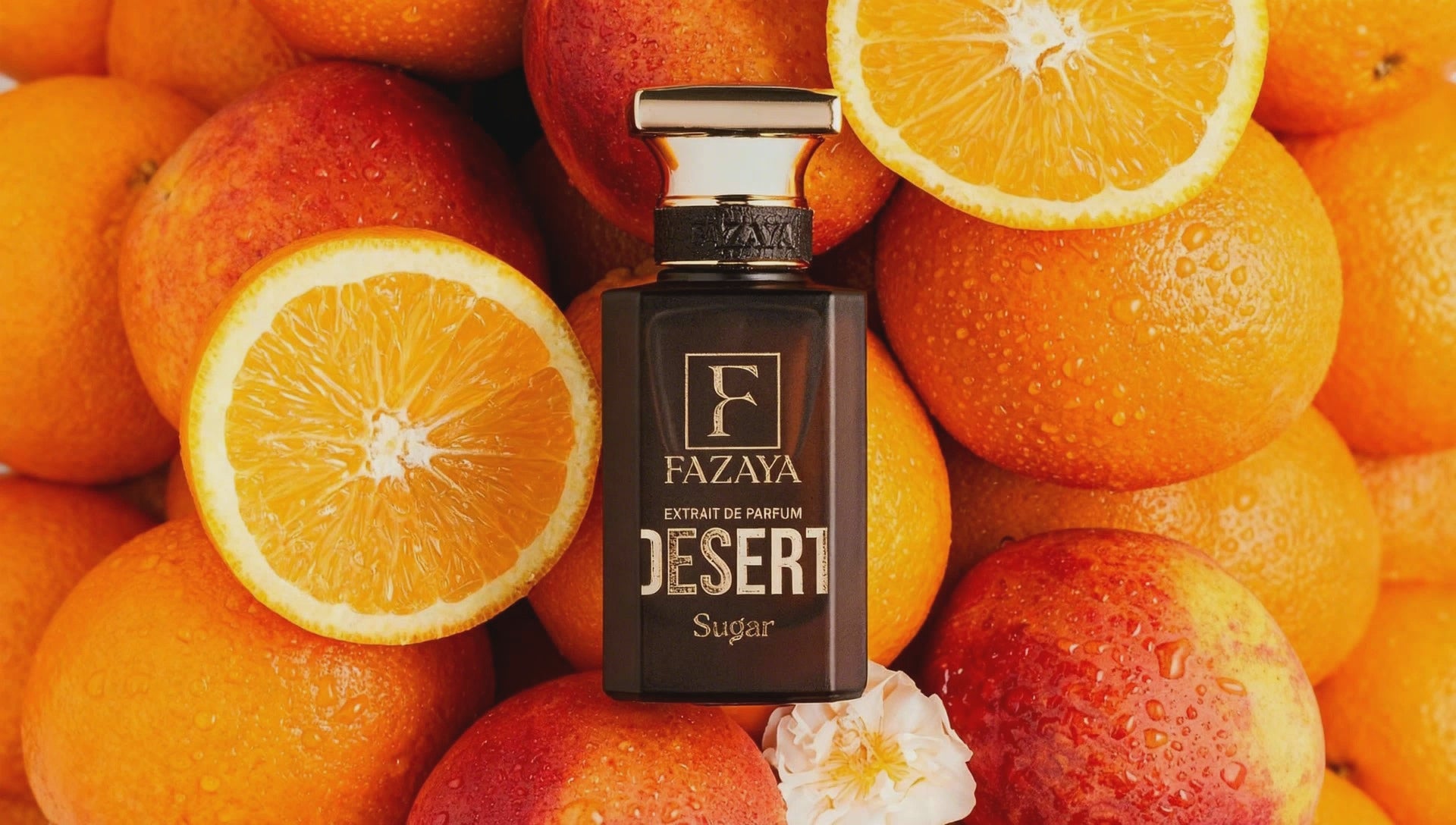 Charger la vidéo : 