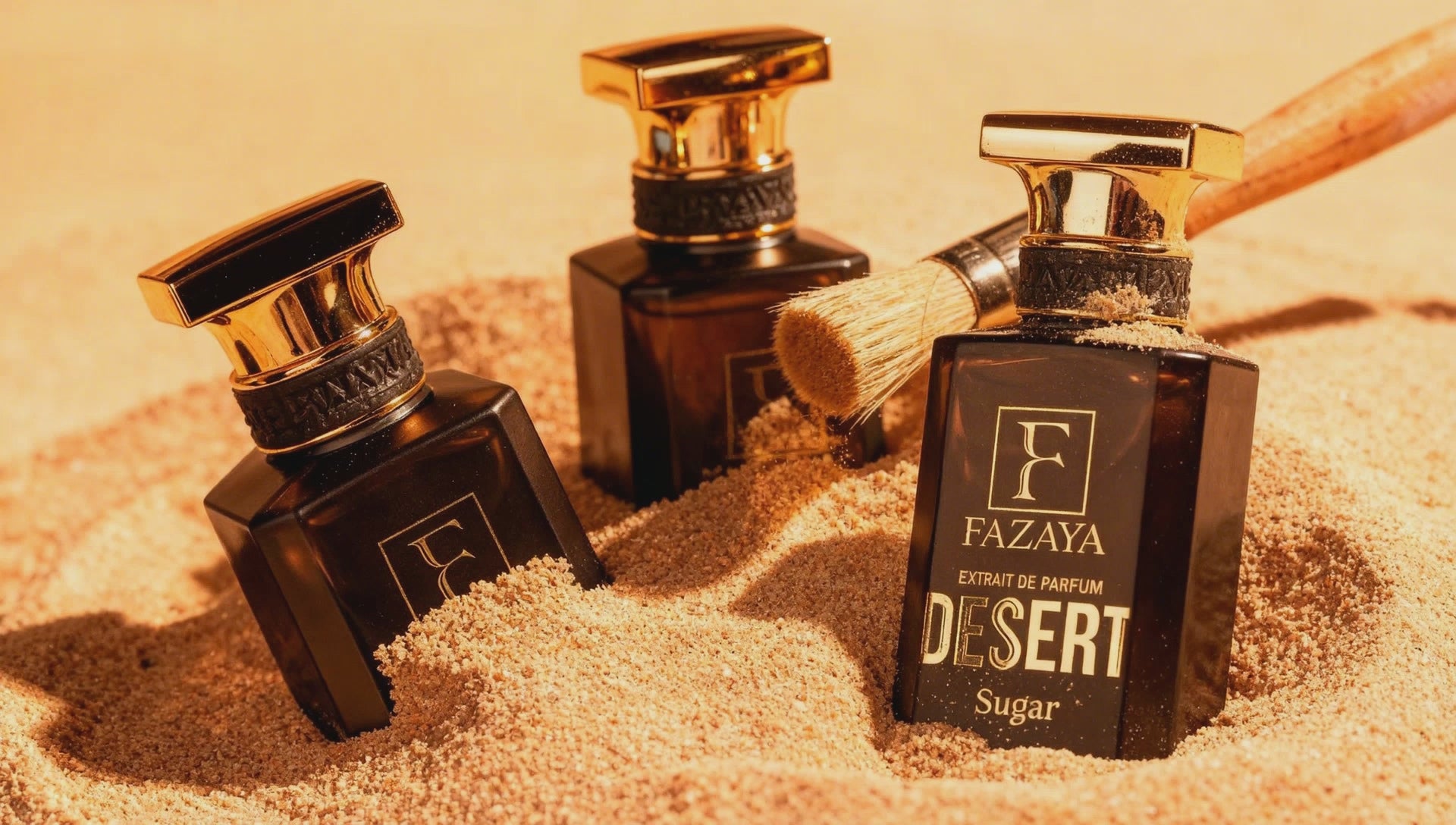 Charger la vidéo : 