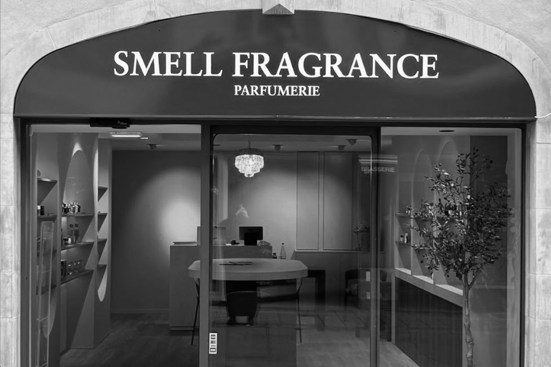 Parfums Fazaya disponibles chez Smell Fragrance à Pau dans les Pyrénées-Atlantiques